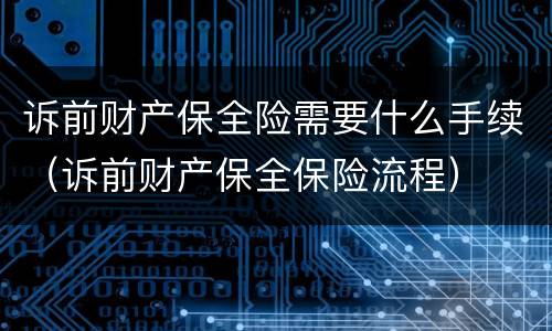 诉前财产保全险需要什么手续（诉前财产保全保险流程）