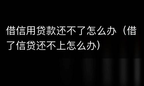 借信用贷款还不了怎么办（借了信贷还不上怎么办）