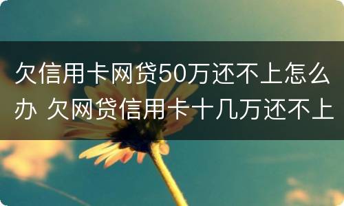 欠信用卡网贷50万还不上怎么办 欠网贷信用卡十几万还不上怎么办