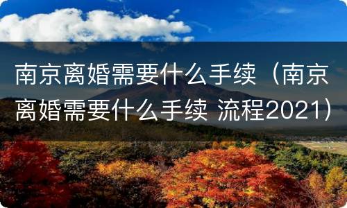南京离婚需要什么手续（南京离婚需要什么手续 流程2021）