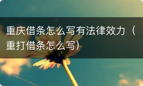 重庆借条怎么写有法律效力（重打借条怎么写）