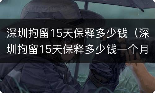 深圳拘留15天保释多少钱（深圳拘留15天保释多少钱一个月）