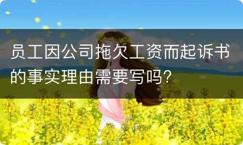 员工因公司拖欠工资而起诉书的事实理由需要写吗?
