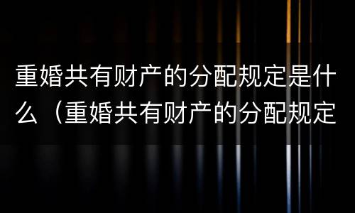 重婚共有财产的分配规定是什么（重婚共有财产的分配规定是什么意思）