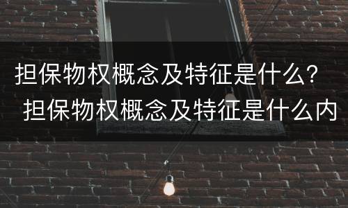 担保物权概念及特征是什么？ 担保物权概念及特征是什么内容