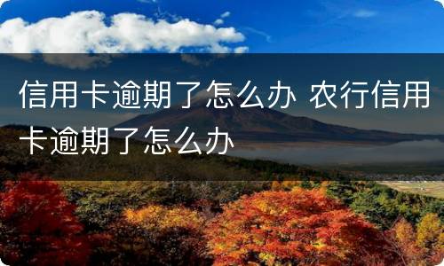 信用卡逾期了怎么办 农行信用卡逾期了怎么办