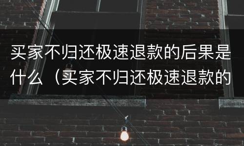 买家不归还极速退款的后果是什么（买家不归还极速退款的后果是什么呢）