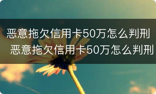 恶意拖欠信用卡50万怎么判刑 恶意拖欠信用卡50万怎么判刑的