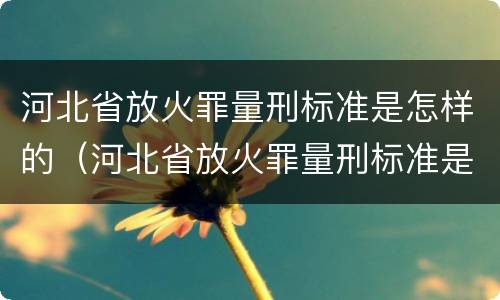 河北省放火罪量刑标准是怎样的（河北省放火罪量刑标准是怎样的呢）