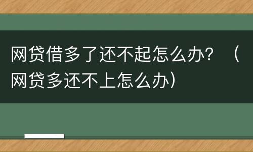 网贷借多了还不起怎么办？（网贷多还不上怎么办）