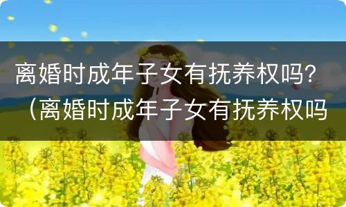 离婚时成年子女有抚养权吗？（离婚时成年子女有抚养权吗男方）