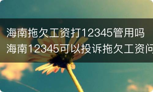 海南拖欠工资打12345管用吗 海南12345可以投诉拖欠工资问题吗