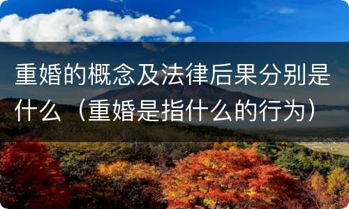 重婚的概念及法律后果分别是什么（重婚是指什么的行为）