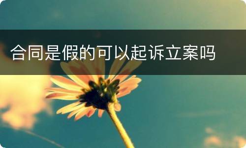 合同是假的可以起诉立案吗