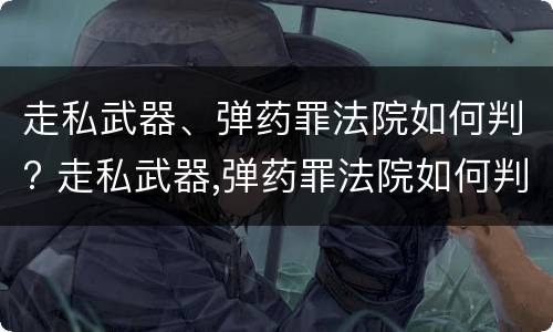 走私武器、弹药罪法院如何判? 走私武器,弹药罪法院如何判定