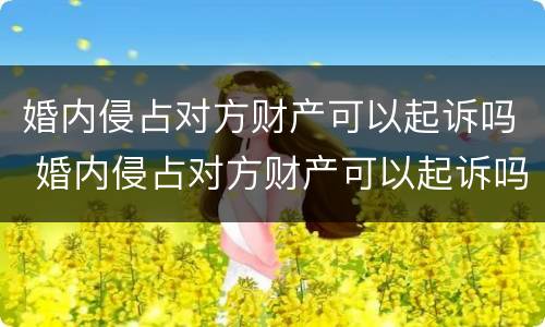 婚内侵占对方财产可以起诉吗 婚内侵占对方财产可以起诉吗法律