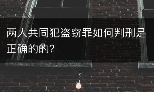两人共同犯盗窃罪如何判刑是正确的的？