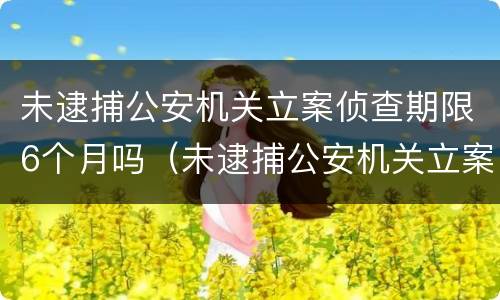 未逮捕公安机关立案侦查期限6个月吗（未逮捕公安机关立案侦查期限6个月吗为什么）