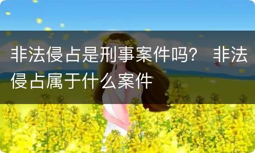 非法侵占是刑事案件吗？ 非法侵占属于什么案件