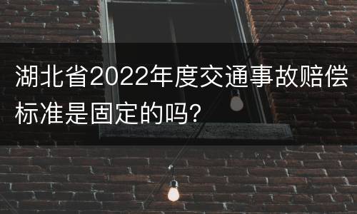 湖北省2022年度交通事故赔偿标准是固定的吗？