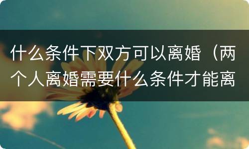 什么条件下双方可以离婚（两个人离婚需要什么条件才能离）