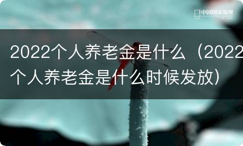 2022个人养老金是什么（2022个人养老金是什么时候发放）