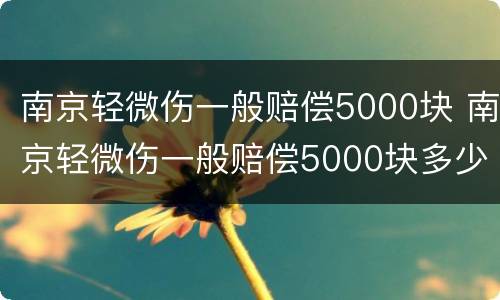 南京轻微伤一般赔偿5000块 南京轻微伤一般赔偿5000块多少钱