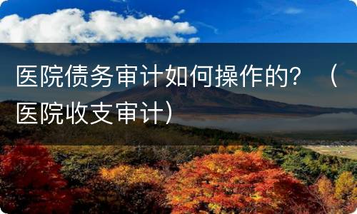 医院债务审计如何操作的？（医院收支审计）