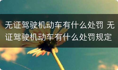 无证驾驶机动车有什么处罚 无证驾驶机动车有什么处罚规定