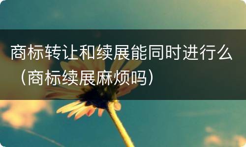 商标转让和续展能同时进行么（商标续展麻烦吗）