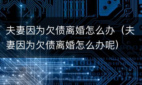 夫妻因为欠债离婚怎么办（夫妻因为欠债离婚怎么办呢）