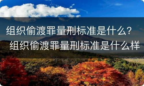 组织偷渡罪量刑标准是什么？ 组织偷渡罪量刑标准是什么样的