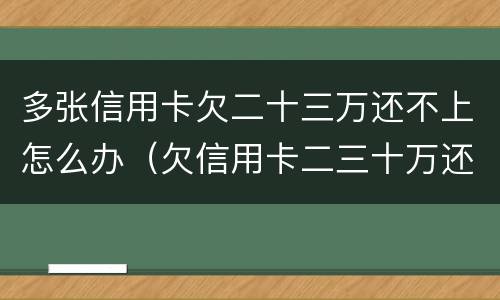 多张信用卡欠二十三万还不上怎么办（欠信用卡二三十万还不起怎么办）