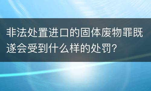 非法处置进口的固体废物罪既遂会受到什么样的处罚？