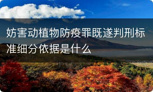 妨害动植物防疫罪既遂判刑标准细分依据是什么