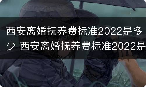 西安离婚抚养费标准2022是多少 西安离婚抚养费标准2022是多少钱