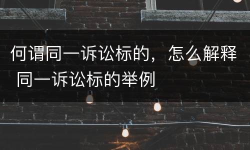何谓同一诉讼标的，怎么解释 同一诉讼标的举例