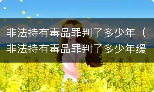 非法持有毒品罪判了多少年（非法持有毒品罪判了多少年缓刑）