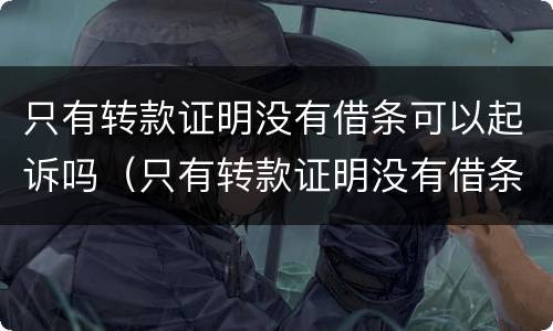 只有转款证明没有借条可以起诉吗（只有转款证明没有借条可以起诉吗法院）