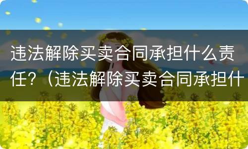 违法解除买卖合同承担什么责任?（违法解除买卖合同承担什么责任和义务）