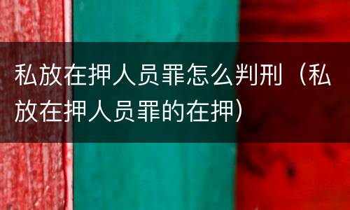 私放在押人员罪怎么判刑（私放在押人员罪的在押）