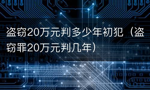 盗窃20万元判多少年初犯（盗窃罪20万元判几年）