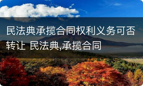 民法典承揽合同权利义务可否转让 民法典,承揽合同