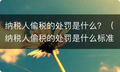纳税人偷税的处罚是什么？（纳税人偷税的处罚是什么标准）