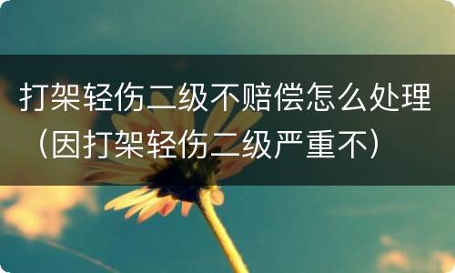 打架轻伤二级不赔偿怎么处理（因打架轻伤二级严重不）