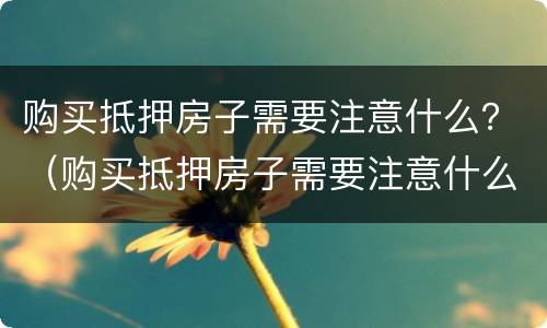 购买抵押房子需要注意什么？（购买抵押房子需要注意什么问题）