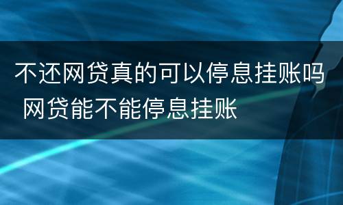 不还网贷真的可以停息挂账吗 网贷能不能停息挂账