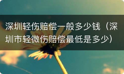 深圳轻伤赔偿一般多少钱（深圳市轻微伤赔偿最低是多少）