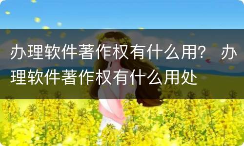 办理软件著作权有什么用？ 办理软件著作权有什么用处