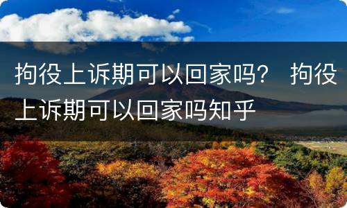 拘役上诉期可以回家吗？ 拘役上诉期可以回家吗知乎